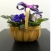 Violet Basket